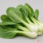 Cải thìa