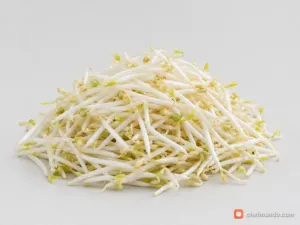 Giá đỗ