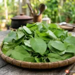Lá giang