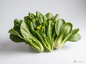 Rau cải