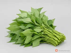 Rau đay