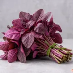 Rau dền đỏ