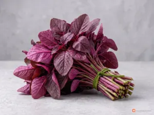 Rau dền đỏ